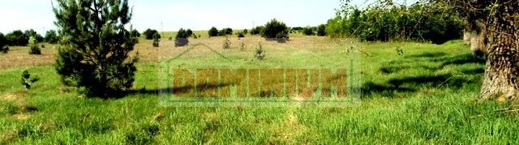 Działka *** kruszewo *** 1084 m2