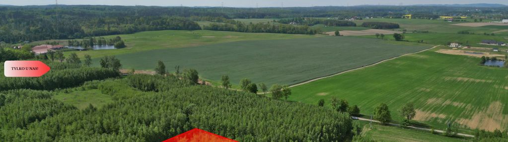 Działka borcz 3069 m2 mpzp