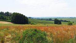 Atrakcyjna, widokowa działka 18 min od krakowa