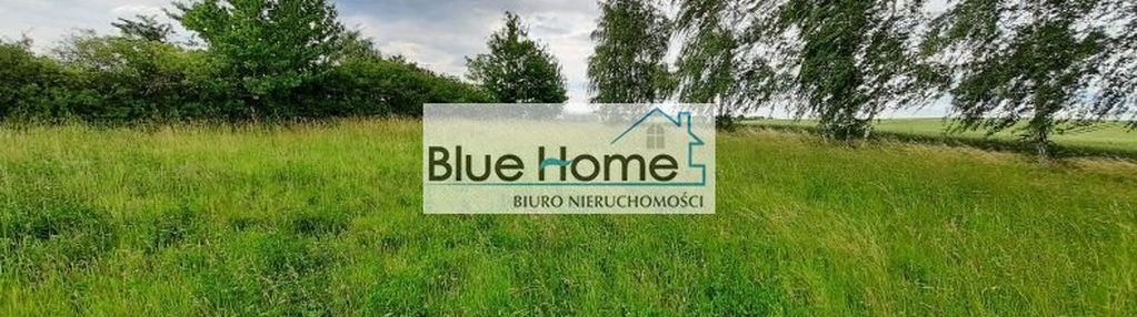 Duża działka z warunkami zabudowy blisko torunia !