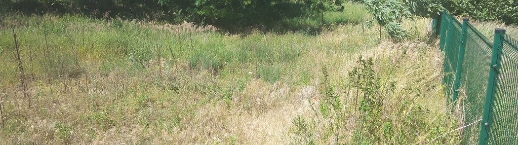 Działka w czerniewicach