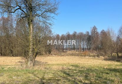 Działka nad jeziorem - lipienica