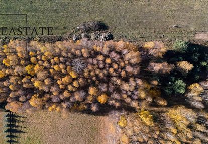 Działka budowlana w kaleń towarzystwo