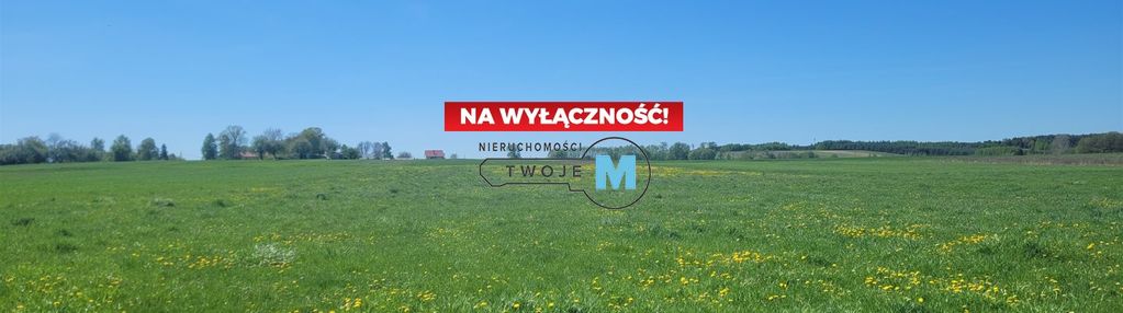 Działki rolne oraz łąka w atrakcyjnej cenie
