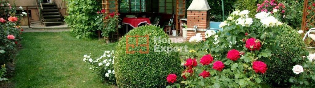 Mieszkanie legnica, okolica brzozowa