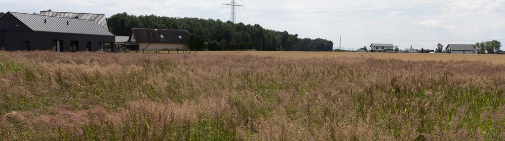 Działka budowlana 890 m² w tychach, wygorzele