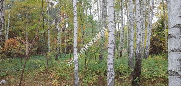 ⭐⭐⭐⭐ działka budowlano-leśna z m-p-z-p ⭐⭐⭐⭐