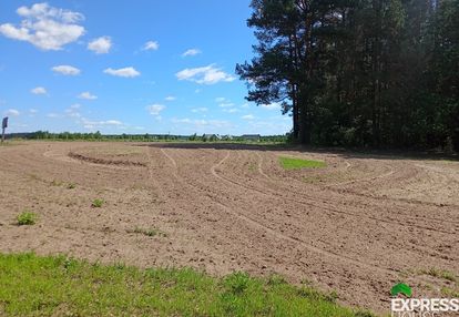 Na skraju lasu.
