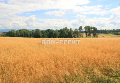 Działka w sąsiedztwie dk1