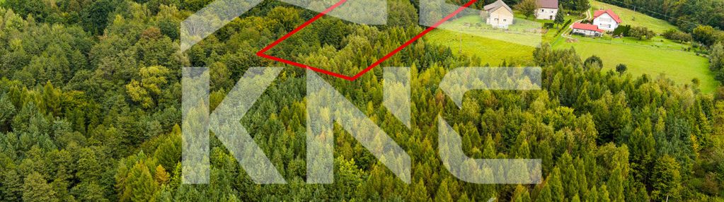 Na sprzedaż działka w zalasowej