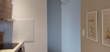 Ruczaj ul.miłkowskiego od iv 26