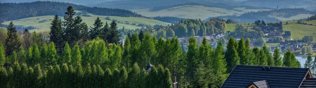 Niezagrożony widok na tatry i jezioro