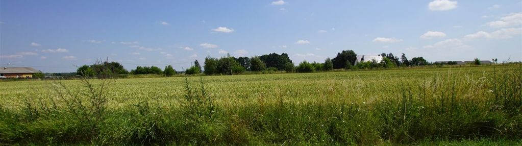 Działka budowlana w gminie mykanów.