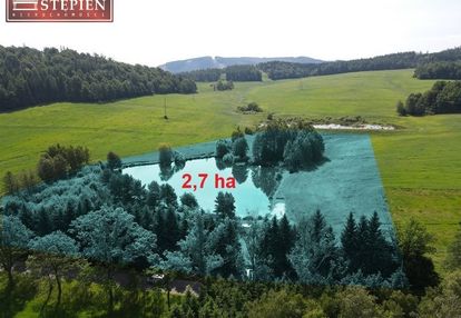 Inwestycja w rudawach janowickich!!!