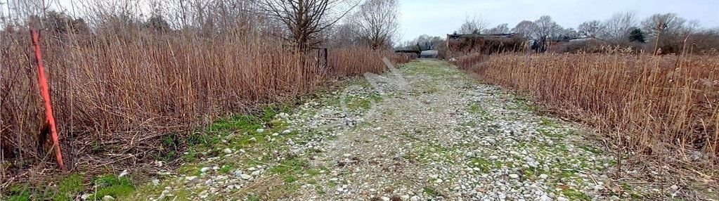 Działka budowlana z wz – wawer, wawer