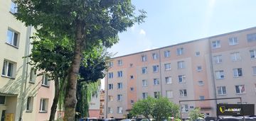 Kawalerka w centrum