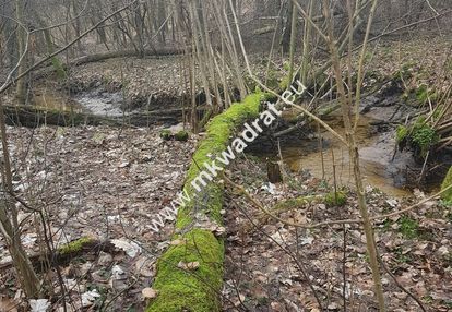 ⭐⭐⭐⭐2500 m2 urokliwa działka przy lesie z mpzp⭐⭐⭐⭐