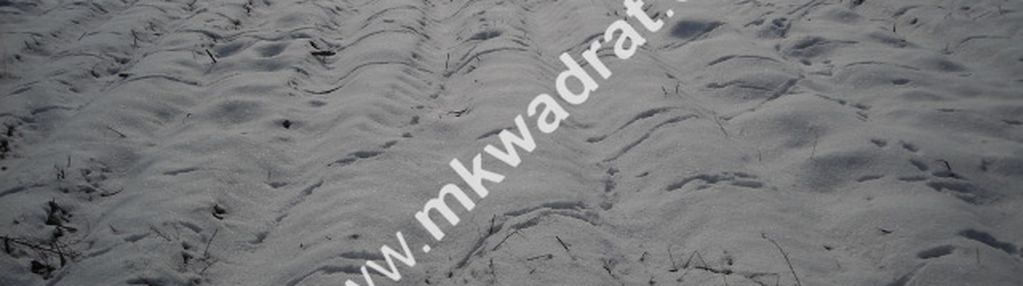 Działka inwestycyjna płochocin idealna lokalizacja