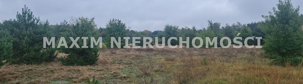 Dz. przemysłowa przy tras warszawskiej, dalanówek