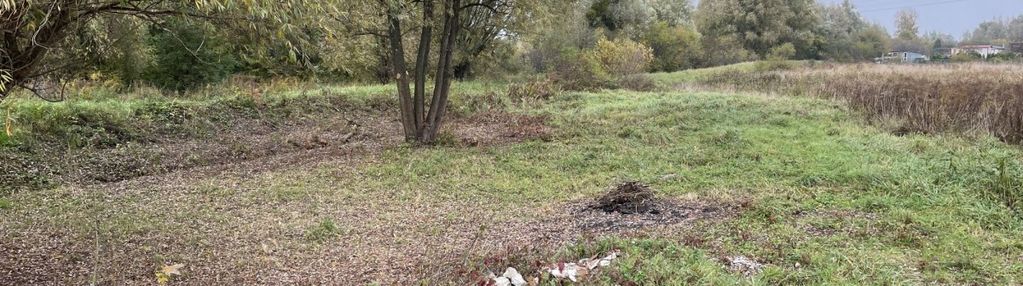 Działka inwestycyjna olszynka