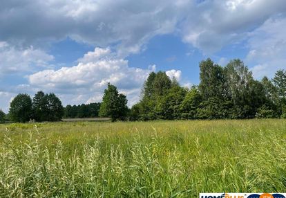 8808 m² pod zabudowę jednorodzinną i usługi.