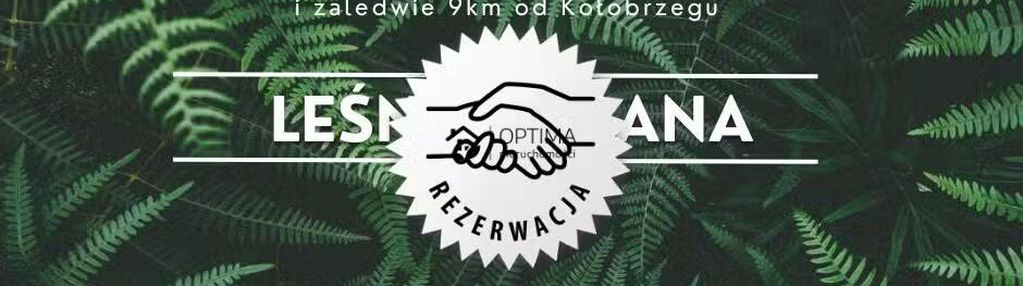 Działka z widokiem na las, obok vilpark