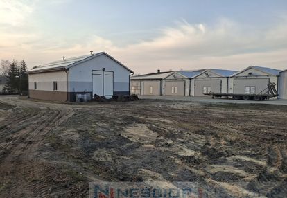 Kompleks budynków gospodarczych po pieczarkarni