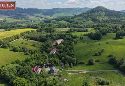 Dom na działce 6024 m² z potencjałem inwestycyjnym
