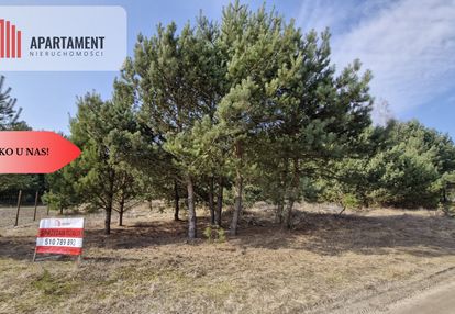 Bory tucholskie – działka 1195 mkw pod budowę domu