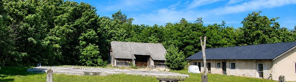 Działka 7024 m²+fundamenty-przy lesie-zdzieci nowe
