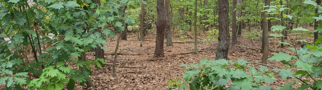 Prestiżowa lokalizacja | świetny dojazd