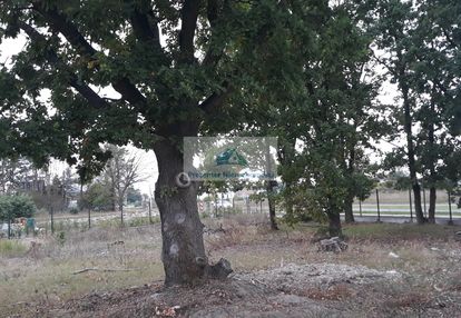 Skalnicowa 730m2. budowlana