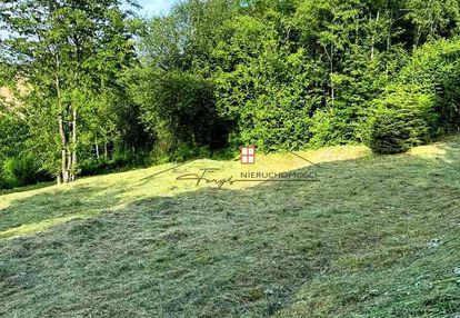 Bieszczady, działka budowlano-rekreacyjna z mpzp