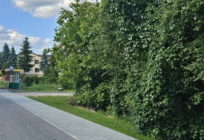 🌲 wyjątkowa działka budowlana dąbrowa, gm. masłów