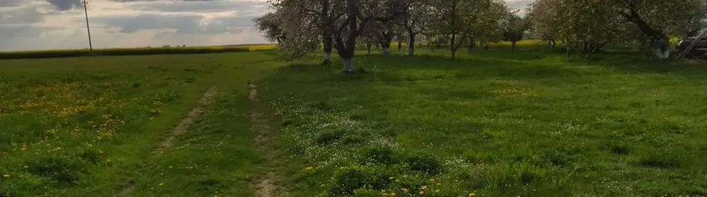 Działka na sprzedaż 1000m2