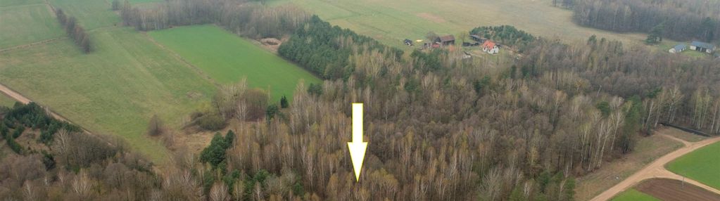 Działka  w piasutnie idealna  pod agroturystykę