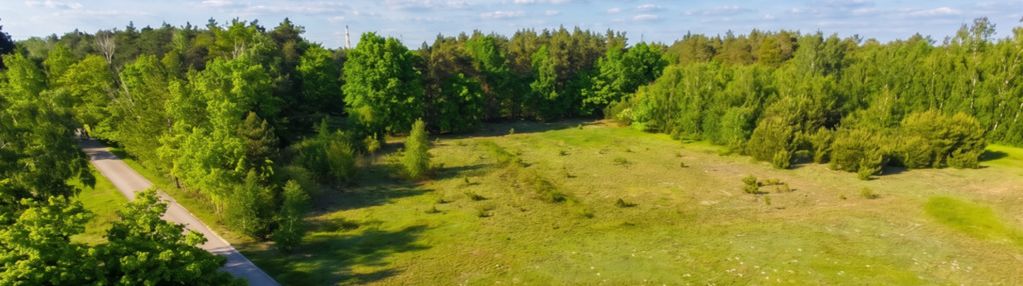 Wyjątkowa działka z prywatnym lasem – gm.szczerców
