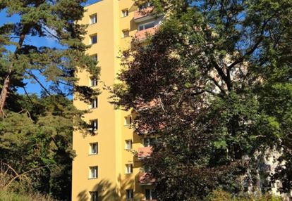 2 pokojowe w oliwie obok lasu