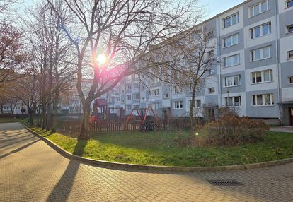 Wygodne mieszkanie na piątkowie!