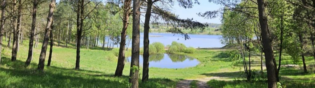 Działki wśród natury las jezioro plaża staw miastk