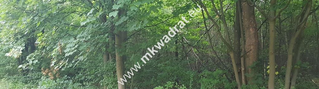 Działka siedliskowa przy ulicy gminnej