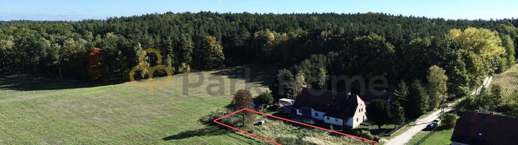 Działka pod lasem