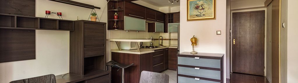 26,6 m² po remoncie | blisko centrum i metra | ani