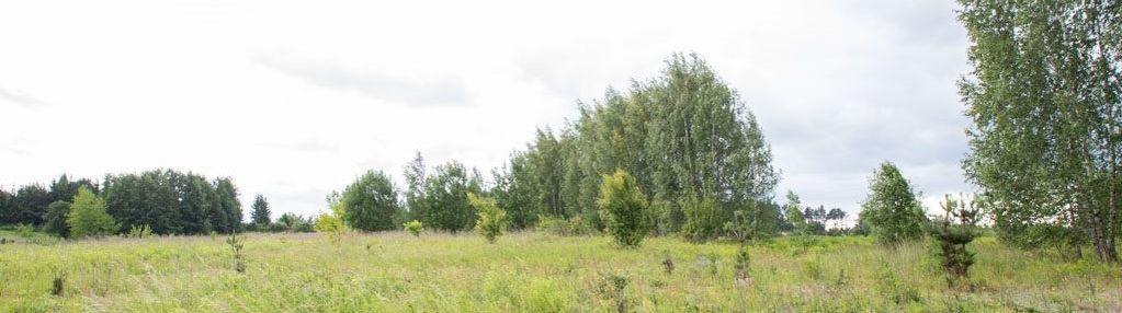 Działka przy ul. ceglanej w nowodworcach