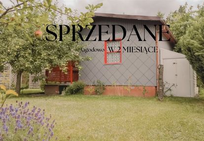 Weekendowy azyl! jagodowo – działka z domkiem