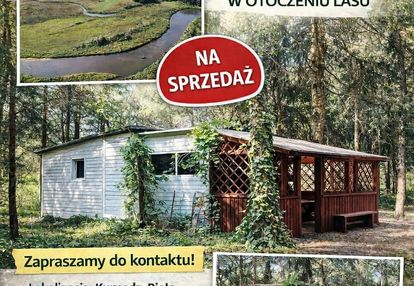 Domek letniskowy w lesie nad pilicą. wieś biała.