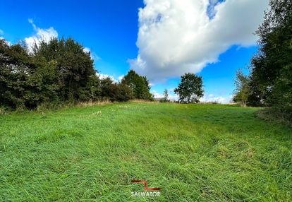 Dz. 21 ar możliwość podziału na 2 gm. krzeszowice