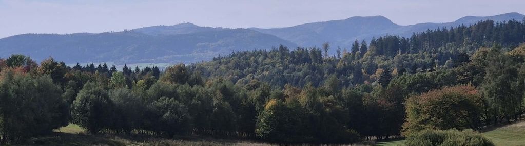 Widokowa działka z wydanymi warunkami zabudowy w sierpnicy.