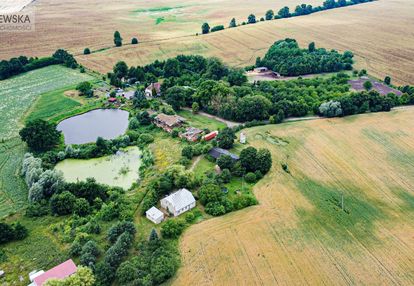 Siedlisko nad stawem! pow. gruntów 5,95 ha, dom!