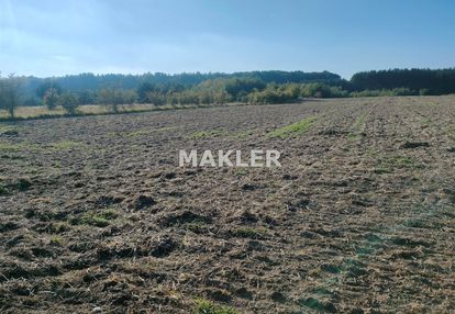 Działka w myślęcinku 2,6 ha w tym 1 ha lasu.